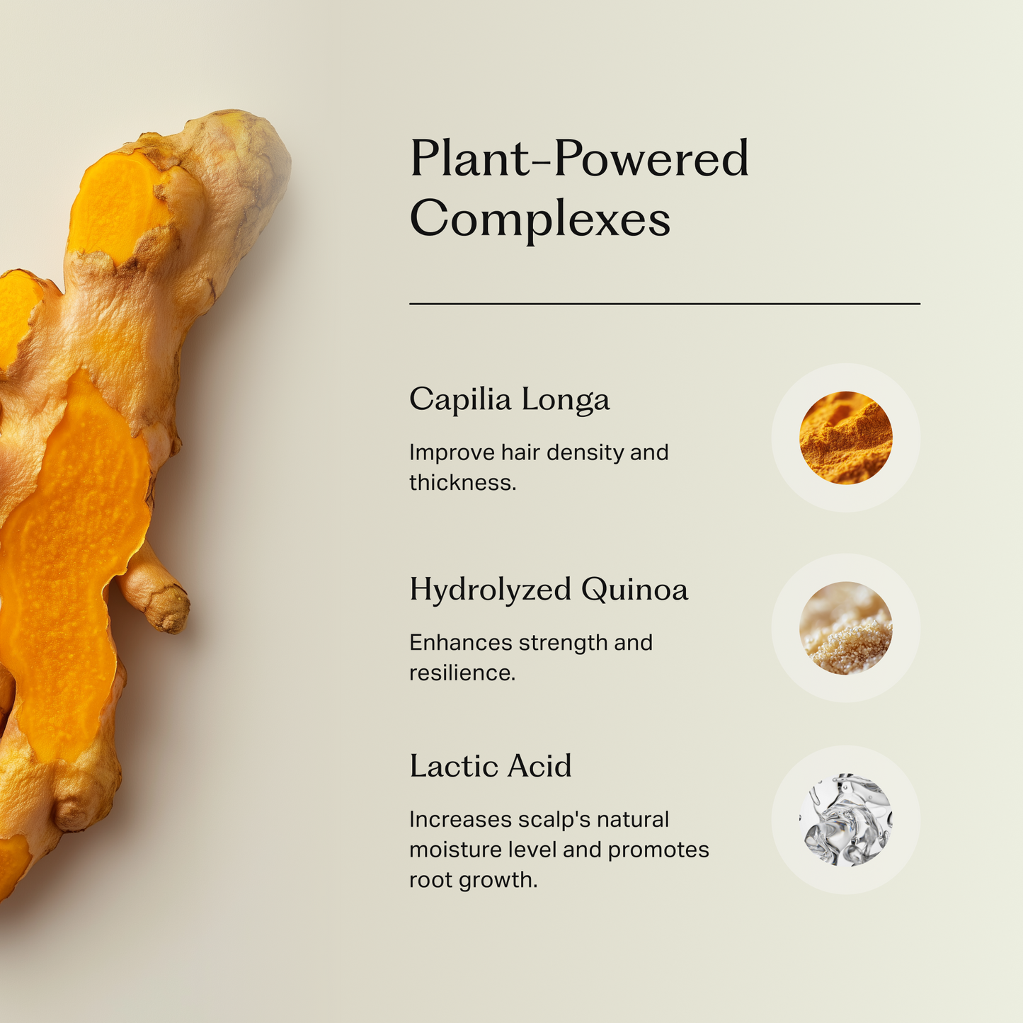 Närbild på gurkmejarot till vänster och text som listar tre växtbaserade ingredienser med deras egenskaper: gurkmeja för densitet, hydrolyserad quinoa för styrka och motståndskraft, samt mjölksyra för hårtillväxt.