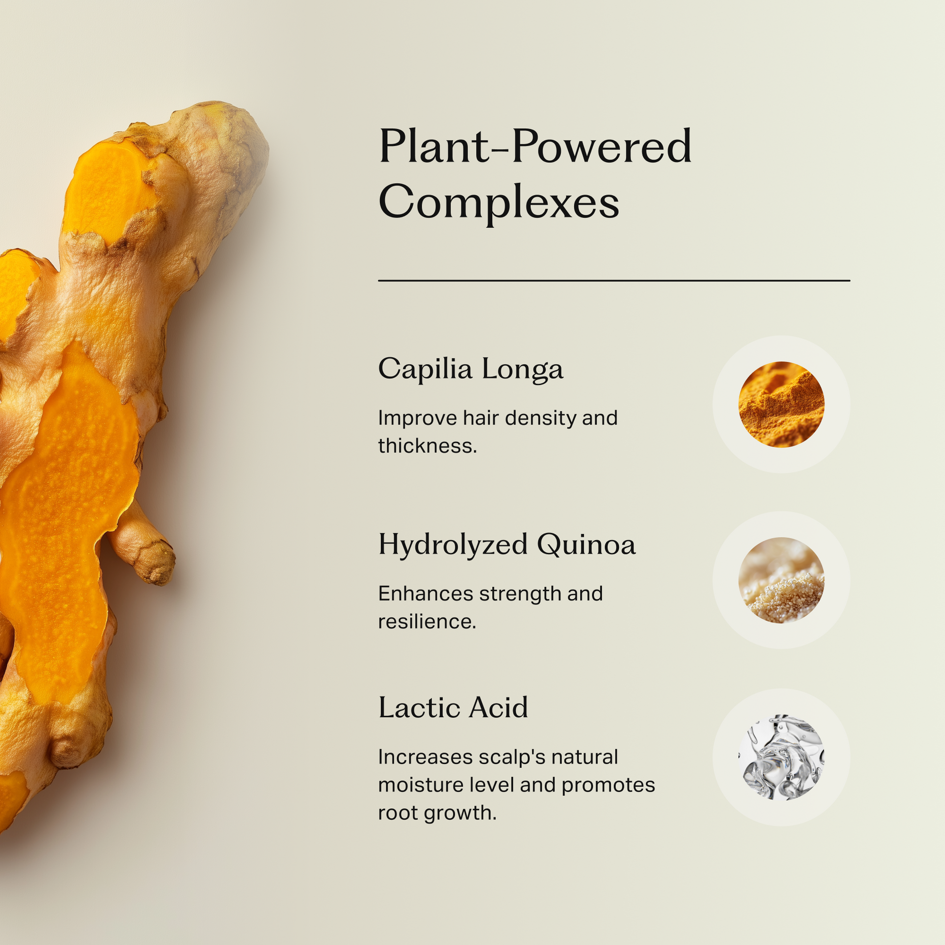 Närbild på gurkmejarot till vänster och text som listar tre växtbaserade ingredienser med deras egenskaper: gurkmeja för densitet, hydrolyserad quinoa för styrka och motståndskraft, samt mjölksyra för hårtillväxt.