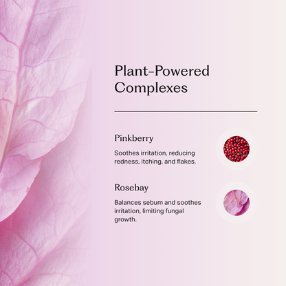 Närbild på rose bay till vänster och text som listar två växtbaserade ingredienser med deras egenskaper: pinkberry mot irritation och rose bay för balans.