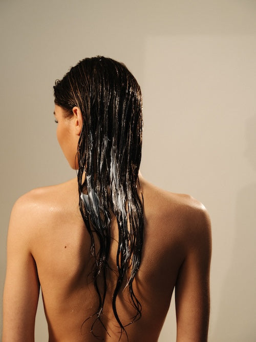 Adds moisture and shine with argan oil
