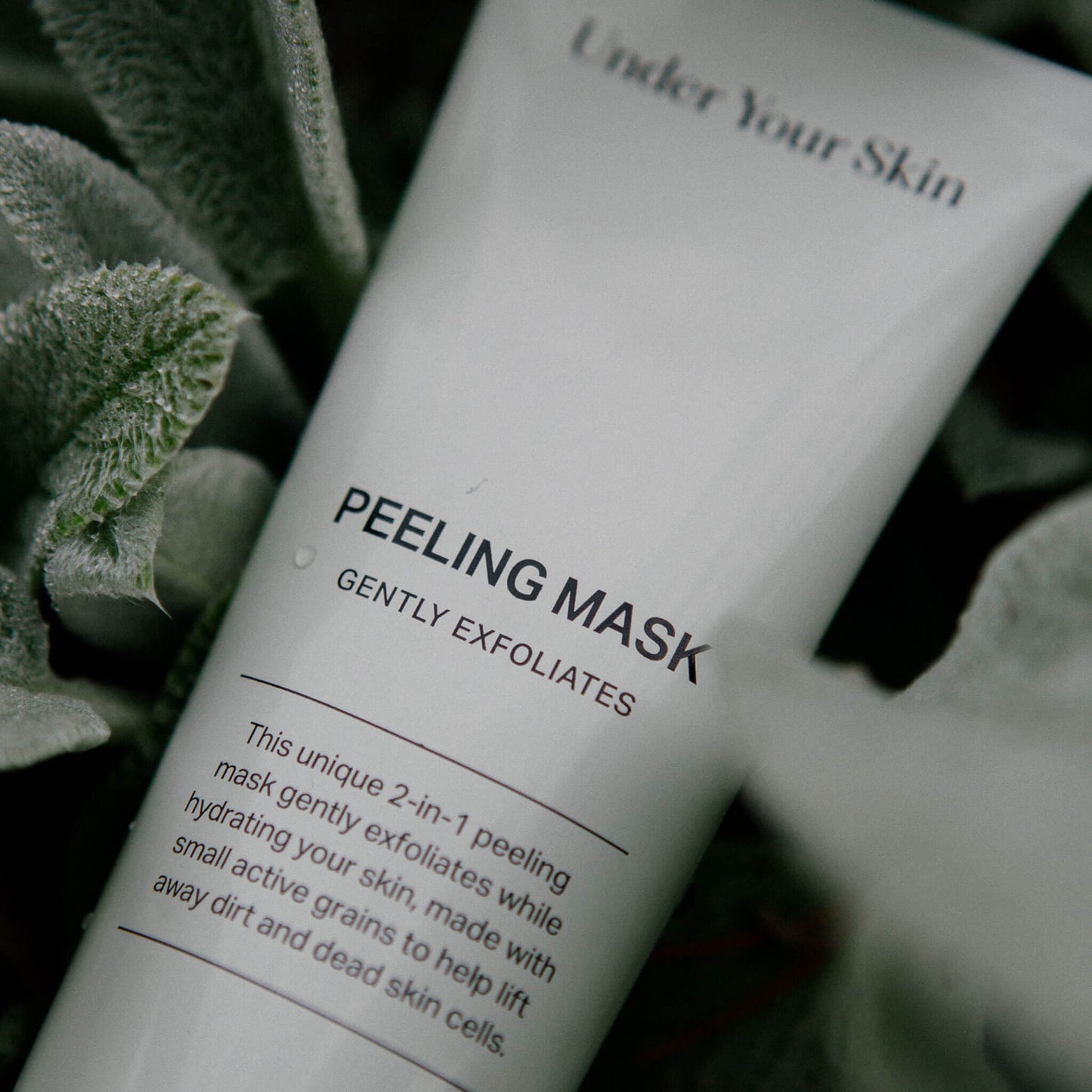 Hydrating Exfoliating Mask
