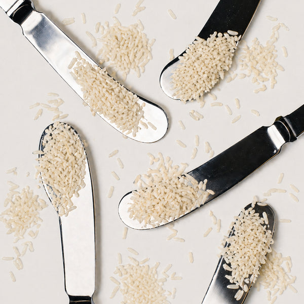 Rice Protein