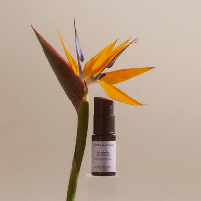 Bild på torrschampo med en växt i bakgrunden