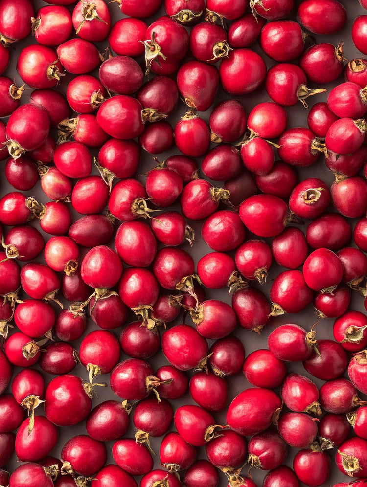 close up of pinkberry berries