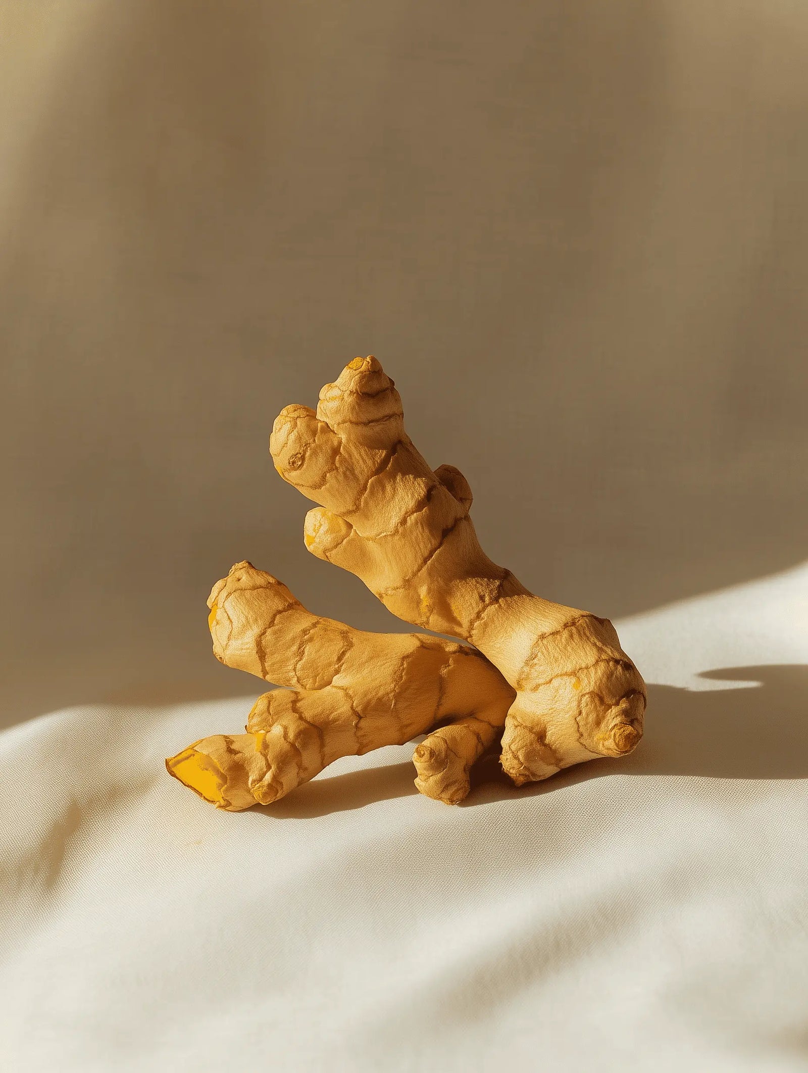 turmeric root on light background
